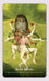 The Hieronymus Bosch Tarot: 78 Cards and 112-Page Guidebook by Travis McHenry Tarot Kit
