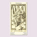 Mantegna-Ladenspelder Tarot 1540 Tarot Kit