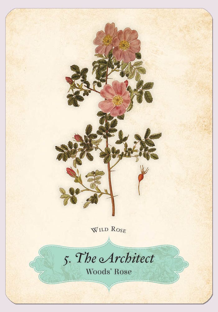 Oracle of the Roses — TarotArts