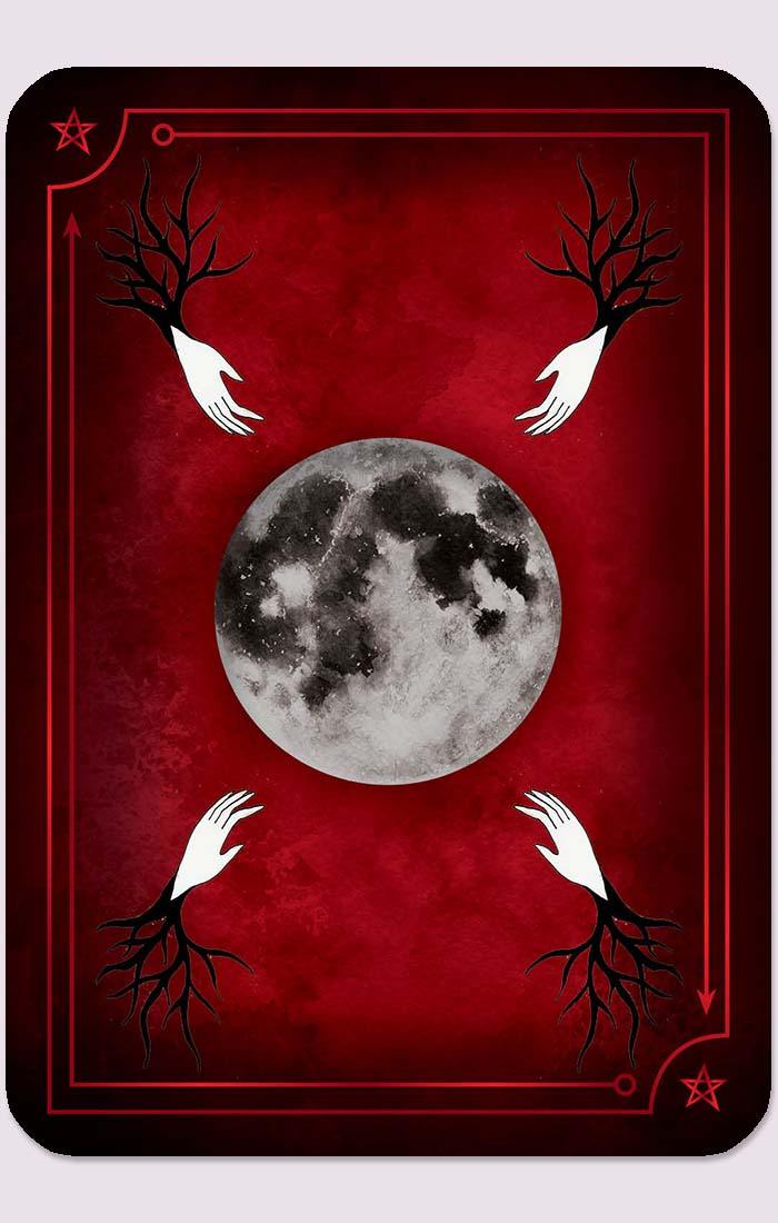 Seasons of the Witch: Samhain Oracle: 44 Gilded Cards and 180-Page Book Oracle Deck