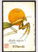 Insects Tarot by Osvaldo Menegazzi 