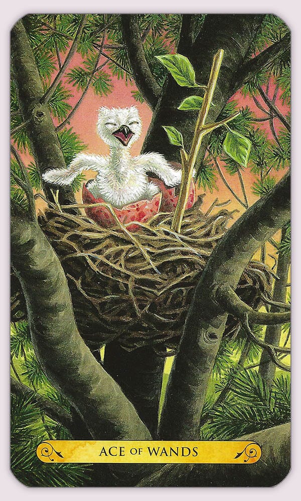 Ace of Wands from the Tarot of the Owls deck, featuring an owl with a key in its talons