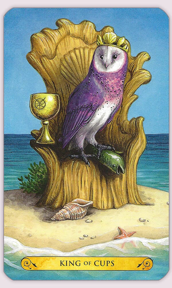 Tarot of the Owls Deck and Guidebook Tarot Kit