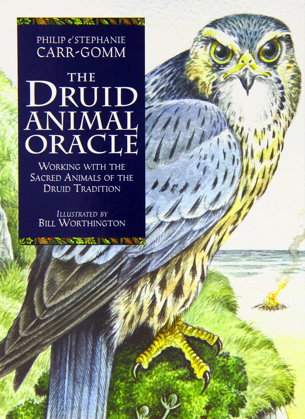 Druid Animal Oracle Deck Oracle Deck