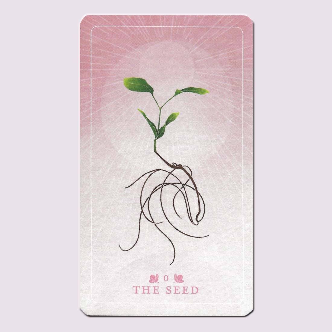 Oracle Card Spring Seeds Rabbit The Seed & Sickle Oracle and Guidebooks — TarotArts