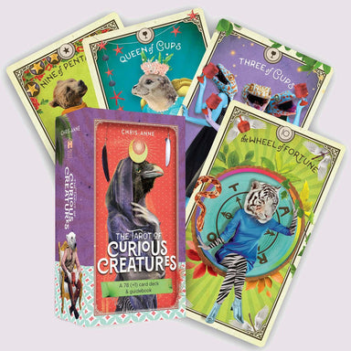 The Tarot of Curious Creatures Oracle Deck