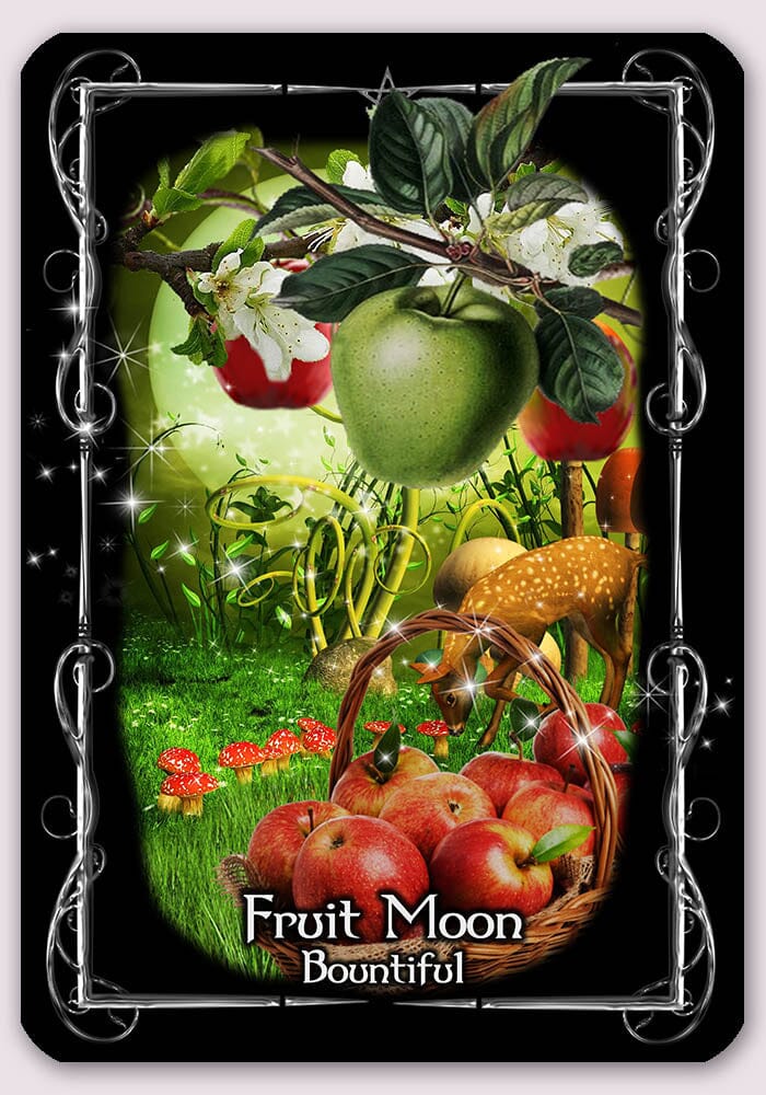 Witches' Moon Magick Oracle and Guidebook Oracle Deck