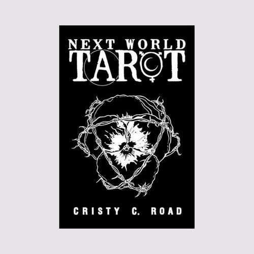 Next World Tarot: Deck and Guidebook Pocket Edition Tarot Kit