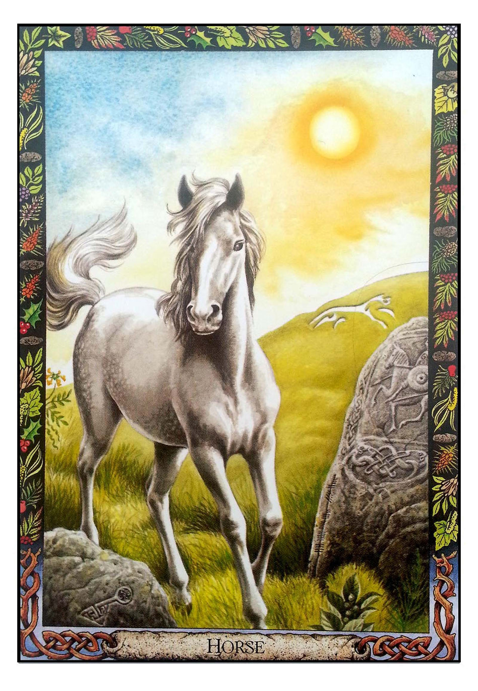 Druid Animal Oracle Deck Oracle Deck