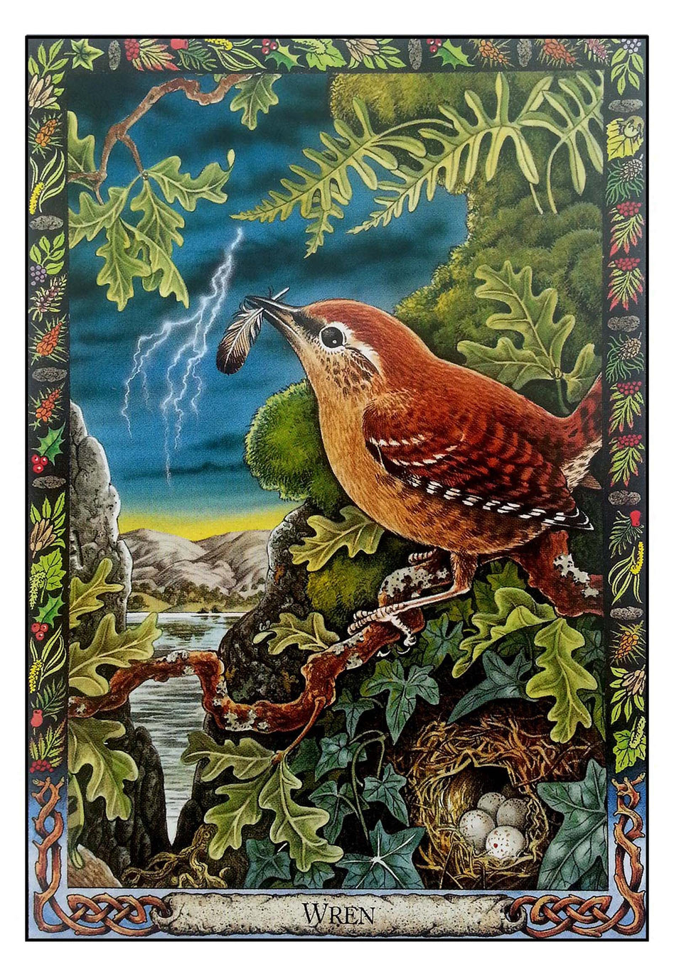 Druid Animal Oracle Deck Oracle Deck